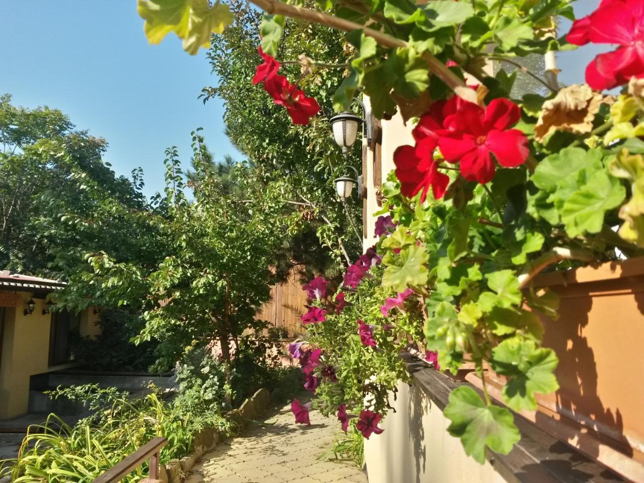 Casa Mica Guesthouse Bukurešť Exteriér fotografie