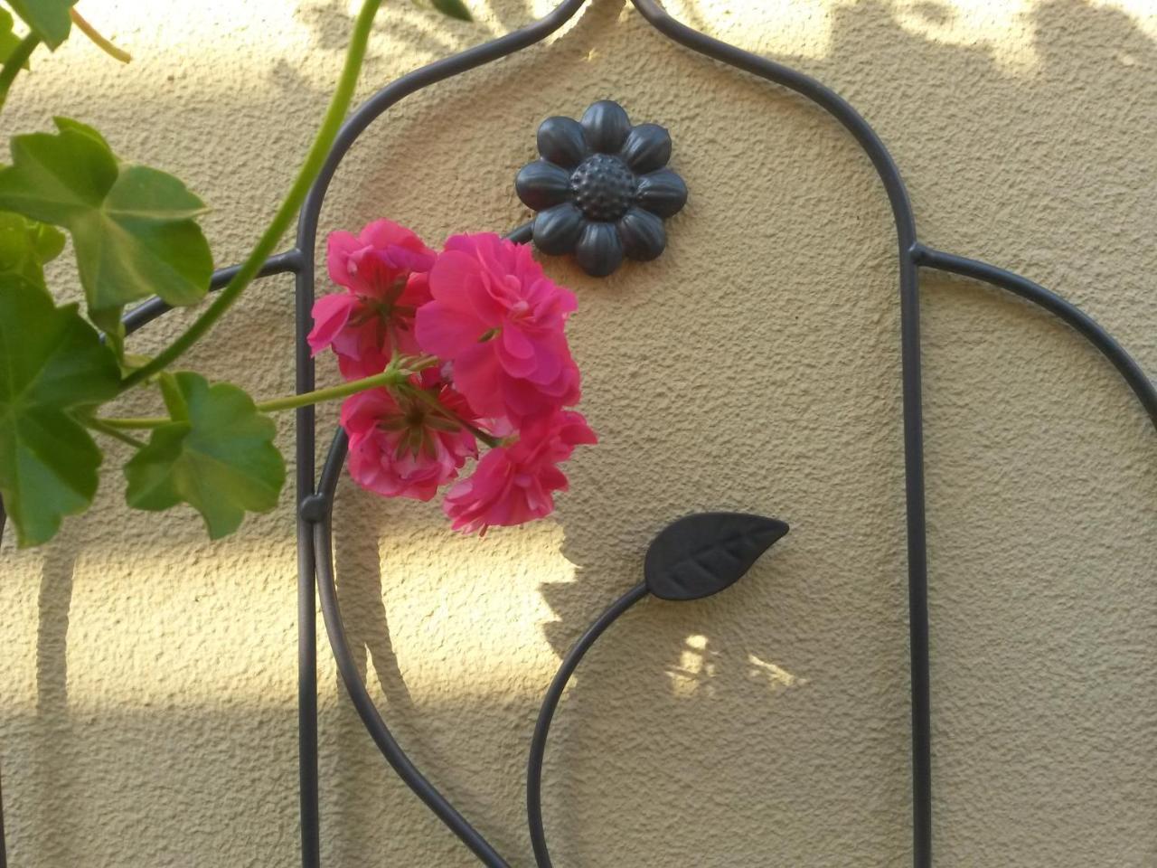 Casa Mica Guesthouse Bukurešť Exteriér fotografie
